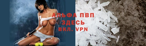 эйфоретик Алексин