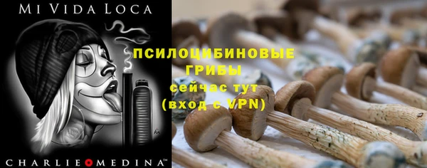 индика Алексеевка