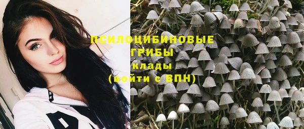 шишки Абдулино
