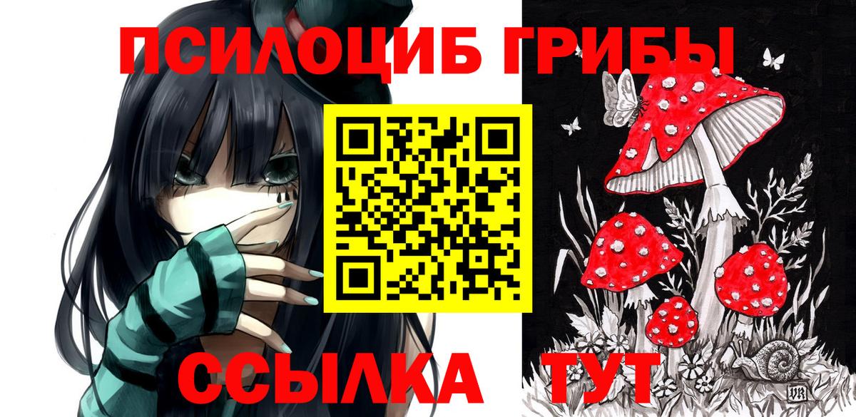 Галлюциногенные грибы мухоморы  Галлюциногенные грибы Psilocybe  что такое   Кизилюрт  Вход с VPN 